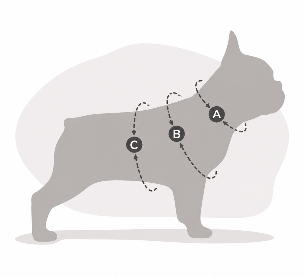 How to measure a dog neck