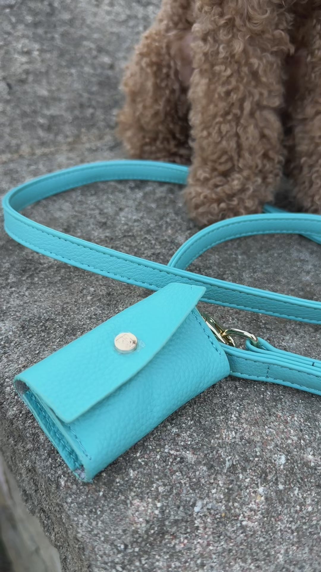 Aquamarine